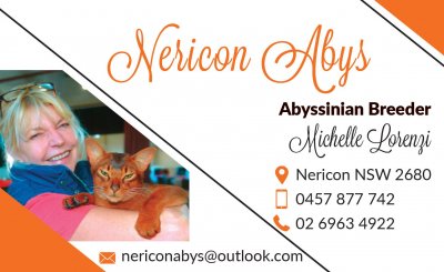 NERICON ABYSSINIANS