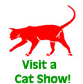 cat show