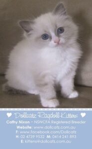 RAGDOLL – NSW CFA
