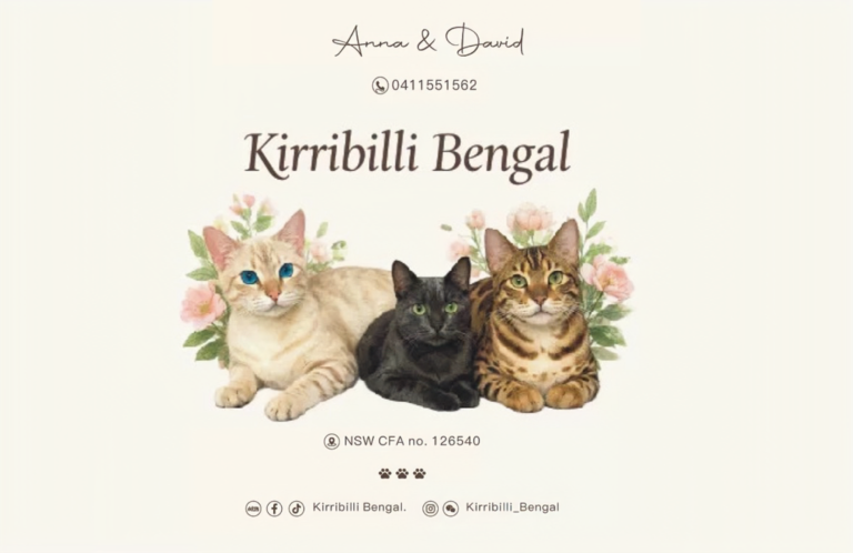 kirribilli bengals