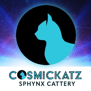 Logo for Cosmickatz