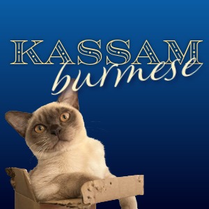 LOGO for Kassam