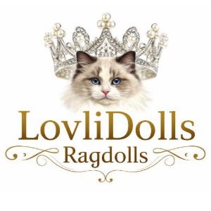 Logo for Lovlidolls